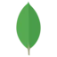 MongoDB